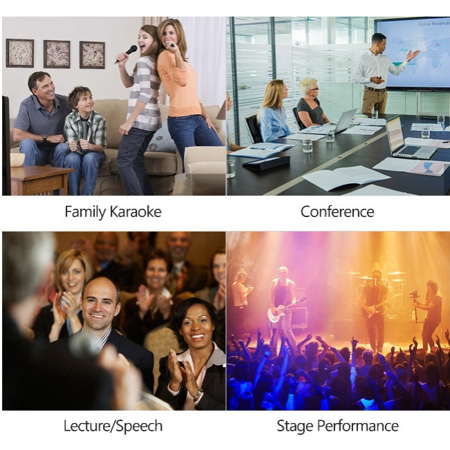 Dual-Use Professional Vocal Microphone