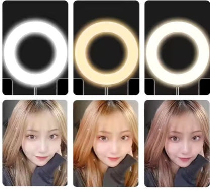 Table Desktop Disc Holder