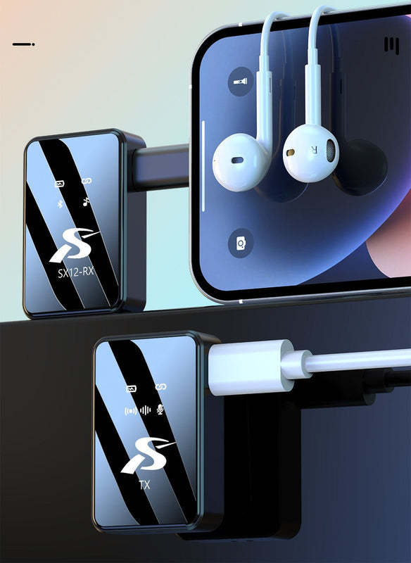 Wireless Microphone Kit