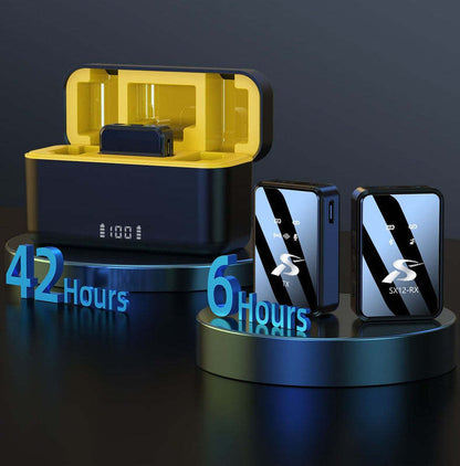 Wireless Microphone Kit